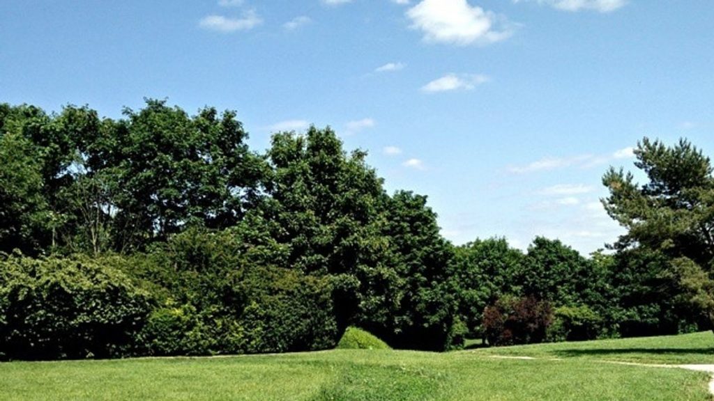 0 Parc dpartemental de la Bergre