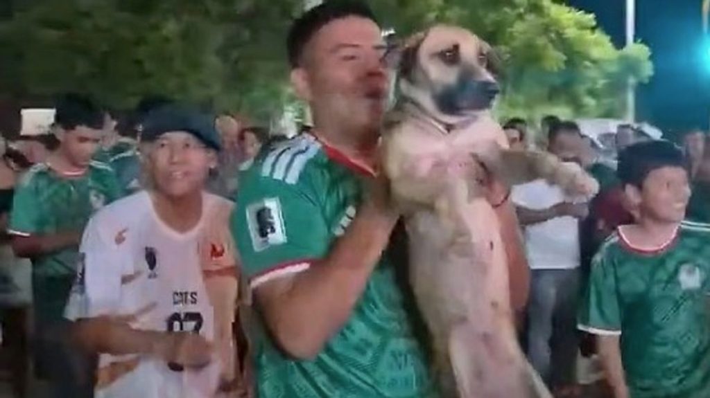 0 Dog that vanished for a month found partying with World Cup fans in Mexico