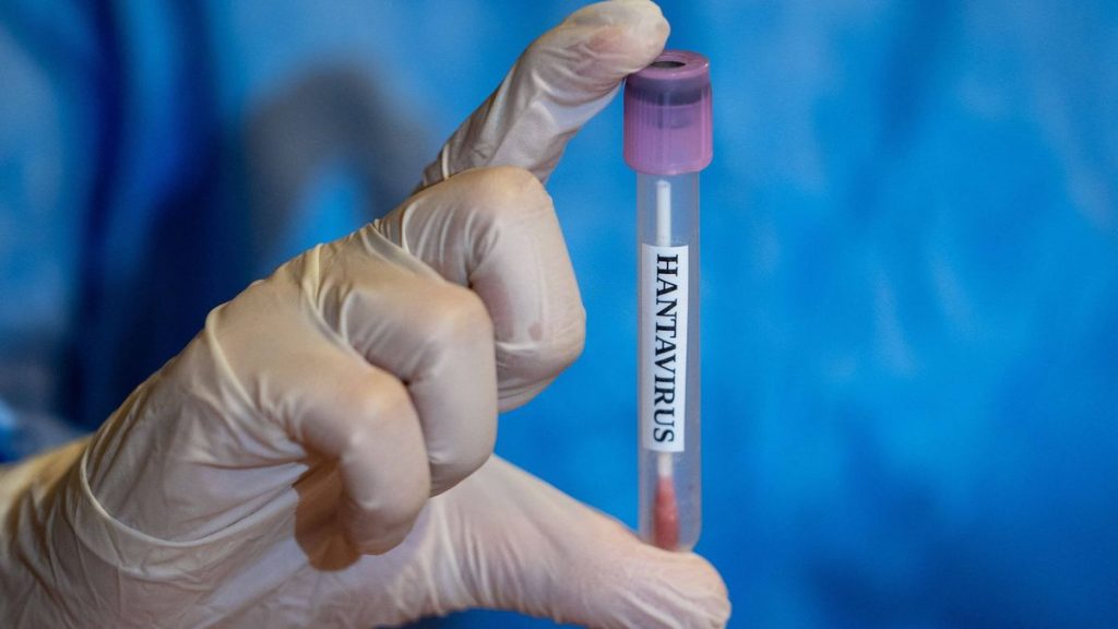 1 Hantavirus