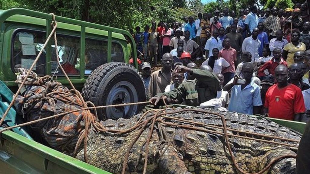 1 UGANDA ANIMALS CROCODILE