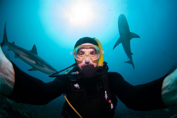 0 Selfie of a diver with sharks