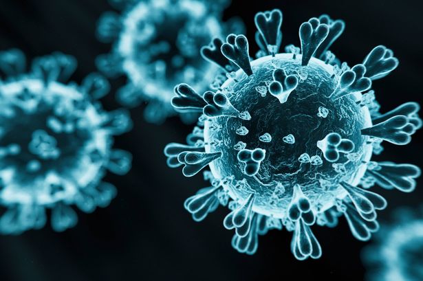 2 Abstract XEC variant of coronavirus