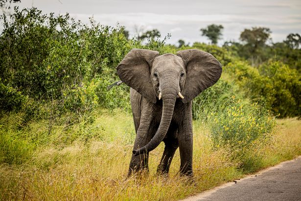 0 Places To Visit South Africa