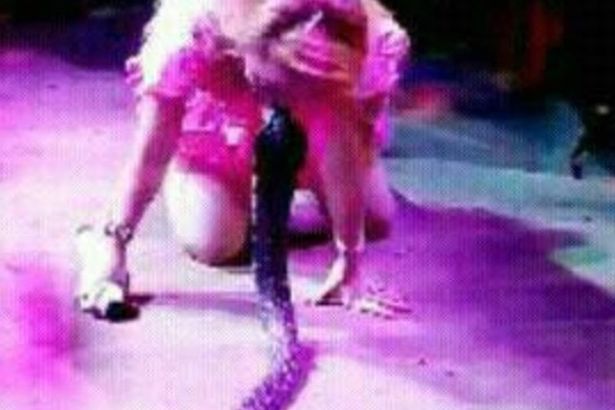 0 Stars who died on stage horror snake bite strangulation and World Record fatality