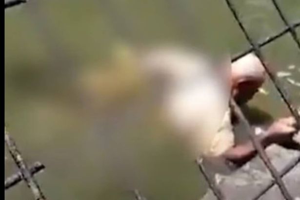 1 A crocodile hunter has died after a horrific attack