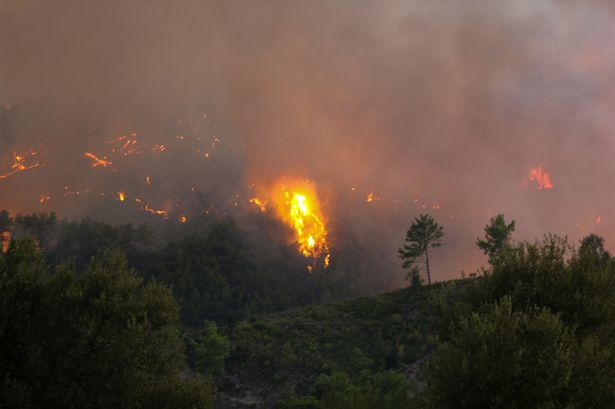 Several evacuated as wildfire destroys home in Turkey - 'there's nothing left, not even a tree' 3 1 Crews battle forest fire in Antalyas Serik district